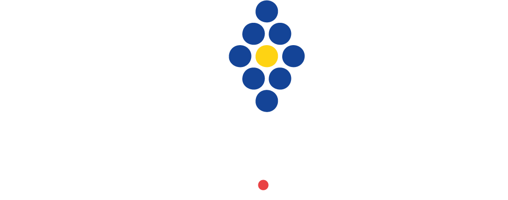 PROFESSIONAL NINEBALL EUROPE